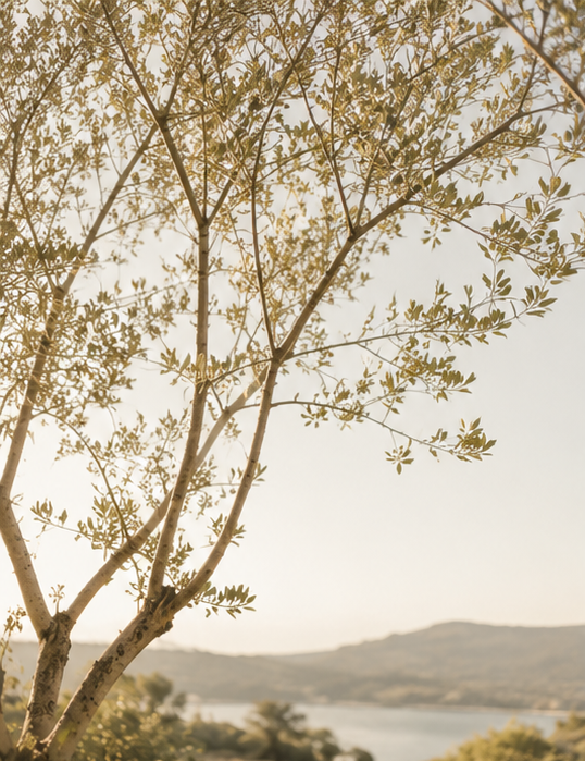 Books about personal growth